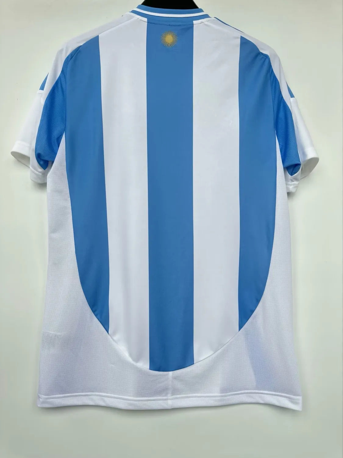 24/25 Argentina Home Kit Fan Version